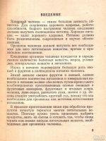 Лот: 14731639. Фото: 2. Кангаре Вероника - Салаты и бутерброды... Дом, сад, досуг