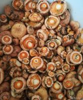 Лот: 14581591. Фото: 2. Грибы Рыжики. Продукты