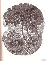 Лот: 14338191. Фото: 6. Пришвин Михаил - Календарь природы...