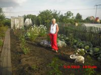 Лот: 3184400. Фото: 3. продам дачу нанжуль 10сот 2этажный... Недвижимость