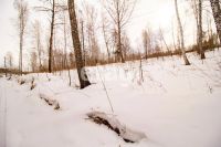 Лот: 25294808. Фото: 14. участок , ДНТ Чёрная Сопка ДНТ...