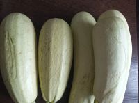 Лот: 25740075. Фото: 3. Кабачки 2. Красноярск