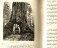 Лот: 18026605. Фото: 18. Кон А. Растение. (Популярные лекции...