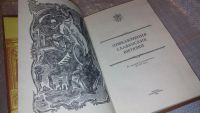 Лот: 5336867. Фото: 6. Приключения славянских витязей...