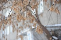 Лот: 12958717. Фото: 6. Nikon D700