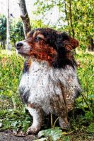 Лот: 6215214. Фото: 2. Фотомозайка из ваших фотографий... Организация праздников, развлечения, съемка