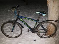Лот: 11042055. Фото: 3. Велосипед Focus 26" в хорошем... Спортивные товары