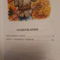 Лот: 23573609. Фото: 2. Книга. Литература, книги