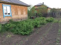 Лот: 9910199. Фото: 6. Дом Б.Мурта