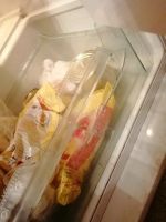 Лот: 15953983. Фото: 6. Холодильник Stinol