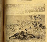 Лот: 15311418. Фото: 13. Мозаика . Иллюстрированный журнал...
