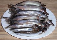 Лот: 19253998. Фото: 2. Мойва с/м. Продукты
