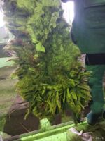 Лот: 12755028. Фото: 2. шерсть, шкуры, баранья, овечья... Бизнес