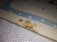Лот: 13765854. Фото: 5. Голявкин В., Что на лице написано...