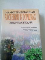 Лот: 13714690. Фото: 3. Книга энциклопедия Растения в... Литература, книги