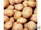 Лот: 1186833. Фото: 2. Продам картофель. Мешок 45 кг. Продукты