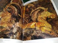 Лот: 18800056. Фото: 15. Акишев К А. Курган Иссык: Искусство...