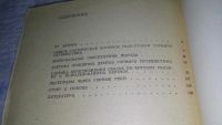 Лот: 11441319. Фото: 3. Спортивные походы в горах, Н.Волков... Литература, книги