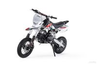 Лот: 24283297. Фото: 3. Питбайк BSE EVO 110Е А (автомат... Авто, мото, водный транспорт