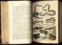 Лот: 16956275. Фото: 16. Джонатан Франклин . Естественная...