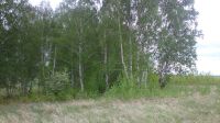 Лот: 11104574. Фото: 3. Земля д. Замятино, Емельяновского... Недвижимость