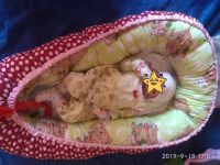 Лот: 14536707. Фото: 2. Кокон-гнездышко. Новое. Дети растут