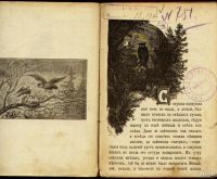 Лот: 9607778. Фото: 3. Сент-Илер К. * Сказка про сову... Коллекционирование, моделизм