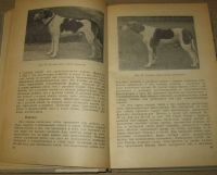 Лот: 16195221. Фото: 2. Пособие по охотничьему собаководству... Антиквариат