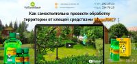 Лот: 14907068. Фото: 13. Создам сайт для вашего бизнеса...