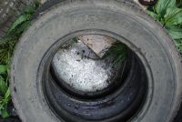 Лот: 4321729. Фото: 2. Forward Professional 301 (газель... Шины, Диски