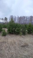 Лот: 11449181. Фото: 3. Земельный участок 10 соток в загородном... Недвижимость