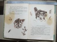 Лот: 19150385. Фото: 8. Книга 2шт набор 1979 Воронин 9...