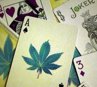 Лот: 12517645. Фото: 4. Карты Bicycle Hemp Deck