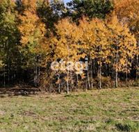 Лот: 25294799. Фото: 9. участок , деревня Раскаты деревня...