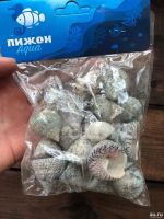 Лот: 15961106. Фото: 5. Настоящие Ракушки Украшения в...