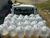 Лот: 13776005. Фото: 3. Личинка пеляди, озерная, речная. Красноярск