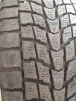 Лот: 16445415. Фото: 5. Шина Dunlop SJ6