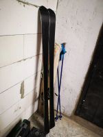 Лот: 17021496. Фото: 3. Горные лыжи Salomon Rush N8... Спортивные товары