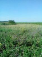 Лот: 3870799. Фото: 5. земельный участок в Нанжуль-3...