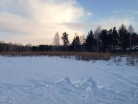 Лот: 2940588. Фото: 4. Участок Заустюжье-2. Красноярск