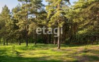 Лот: 25286988. Фото: 13. квартира , Красноярск проспект...