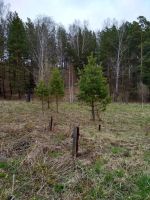 Лот: 6799952. Фото: 3. Участок 10 соток. Недвижимость