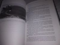 Лот: 19874759. Фото: 8. Oz/вбр (26062403) Три покушения...