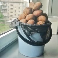 Лот: 13925881. Фото: 2. Картофель 5л. 4+ кг. Продукты