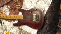 Лот: 8867512. Фото: 2. Schecter Jeff Loomis 7 FR 2010. Музыкальные инструменты