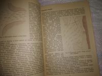 Лот: 25052376. Фото: 11. Oz(4092321)Проктор Ян. Плавание...