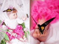 Лот: 8049284. Фото: 3. Оригинальный подарок! тропические... Красноярск