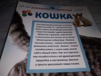 Лот: 19029651. Фото: 10. Рейнер Мэтью, Кошка, Серия: Домашние...