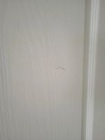 Лот: 17661441. Фото: 6. Межкомнатные двери