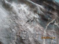 Лот: 16397569. Фото: 5. Блуза № 6.